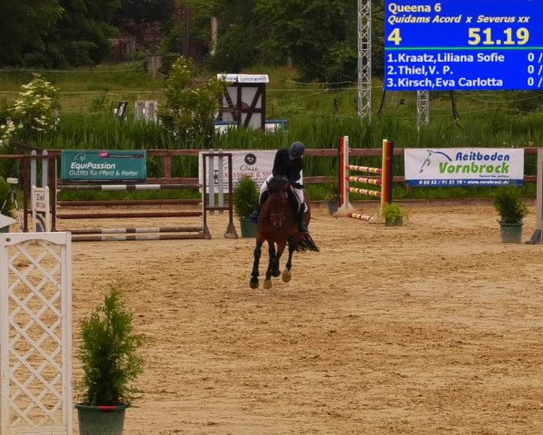 Reitturnier Schönfeld 2022