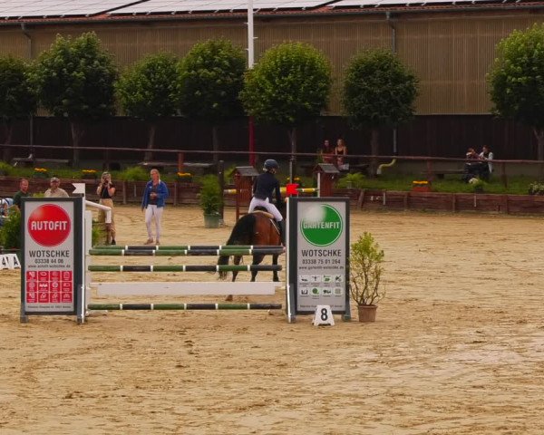 Reitturnier Schönfeld 2022