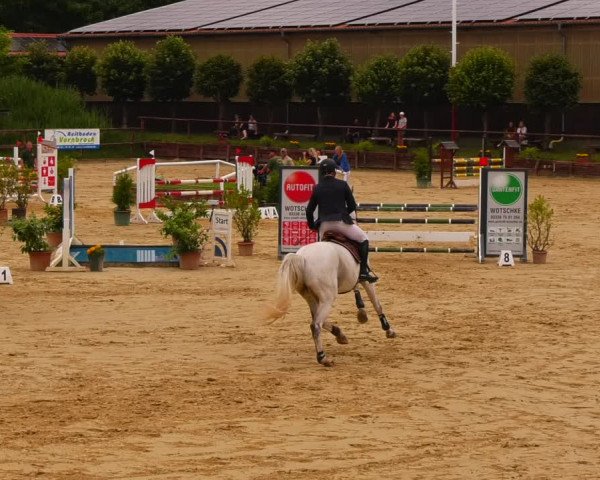 Reitturnier Schönfeld 2022