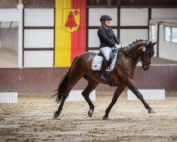 dressage horse Don‘t Stop Me Now 4 (Westphalian, 2013, from Depeche Mode)