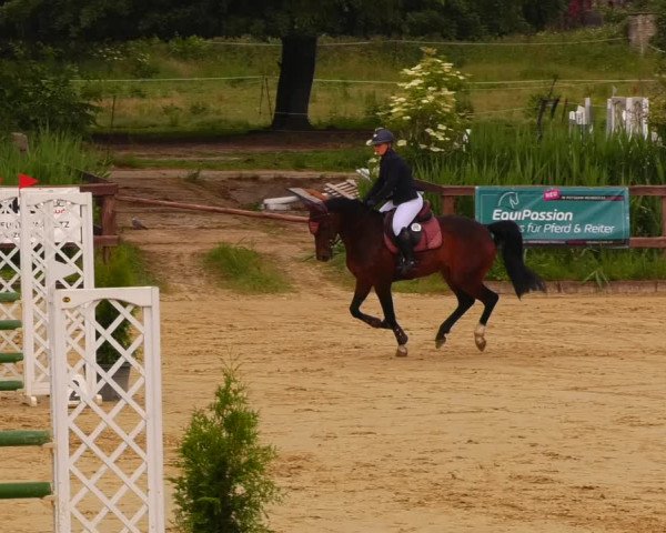 Reitturnier Schönfeld 2022