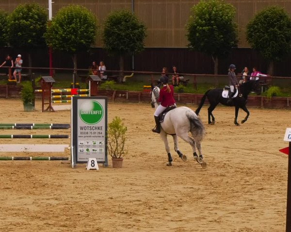 Reitturnier Schönfeld 2022