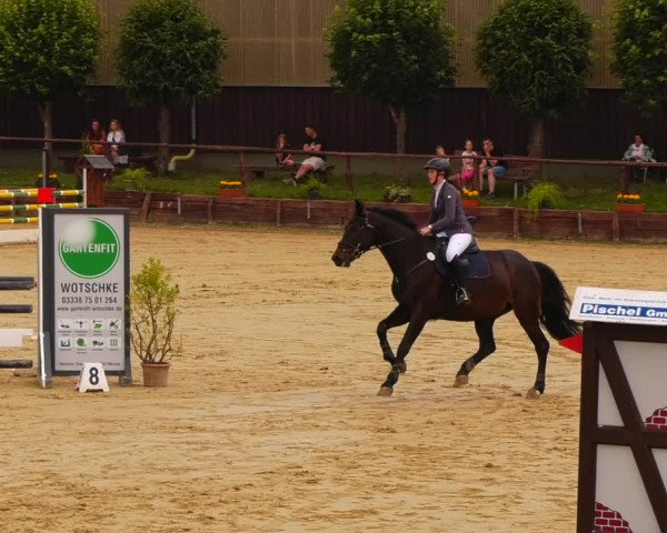 Reitturnier Schönfeld 2022