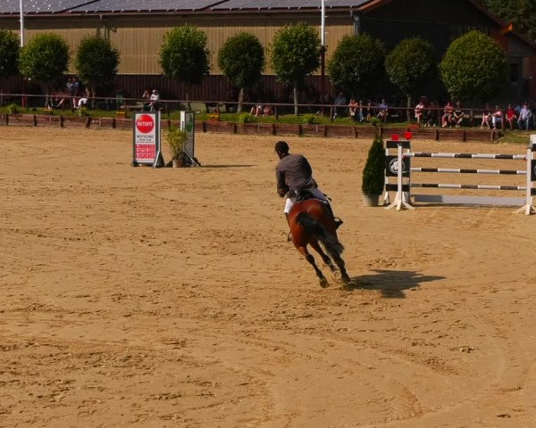 Reitturnier Schönfeld 2022
