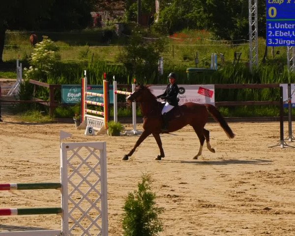 Reitturnier Schönfeld 2022