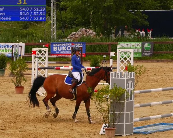 Reitturnier Schönfeld 2022