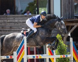Springpferd El Star van't Ameldonk Z (Zangersheide Reitpferd, 2016, von El Torreo de Muze)