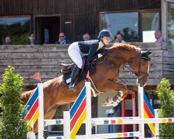 jumper Kryptonite HX (KWPN (Royal Dutch Sporthorse), 2015, from Balpar de Trebox Z)