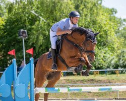 Springpferd Lavayano (Deutsches Sportpferd, 2016, von Larimar)