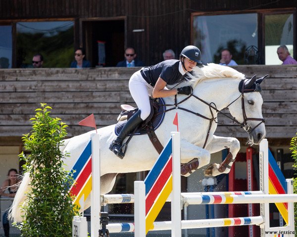broodmare Pia S (German Sport Horse, 2010, from Colestus)
