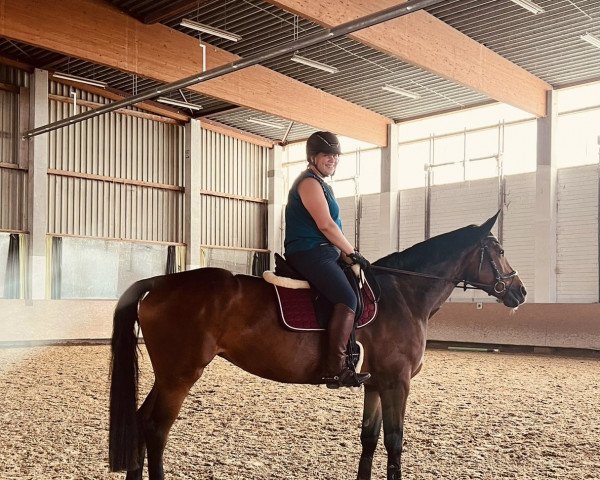 dressage horse Miss Certus Wv (German Warmblood, 2014, from Certus)