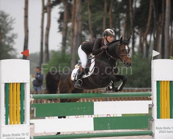 Springpferd Dara (Deutsches Reitpony, 1994, von Giglbergs Cappuccino)
