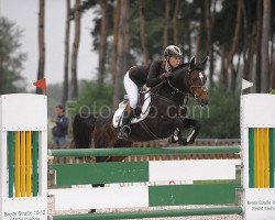 jumper Dara (German Riding Pony, 1994, from Giglbergs Cappuccino)