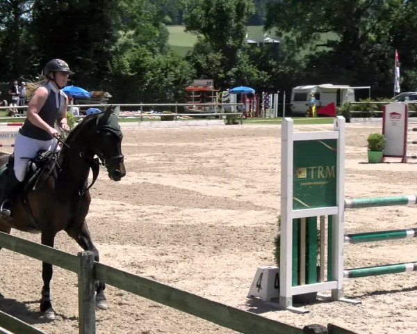 Reitturnier Ruswil 2022