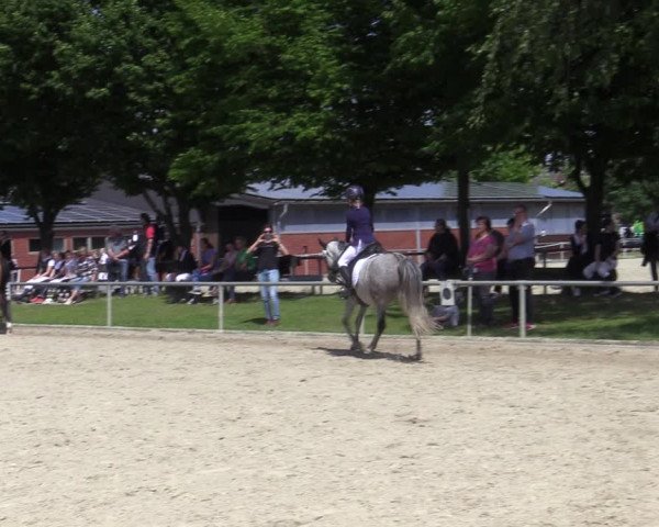 Reitturnier Ascheberg 2022