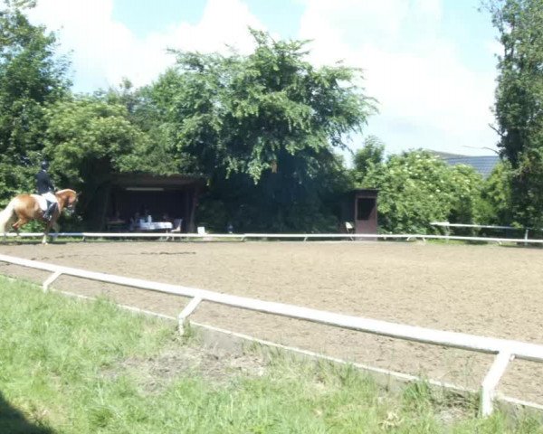 Reitturnier St. Pölten 2022