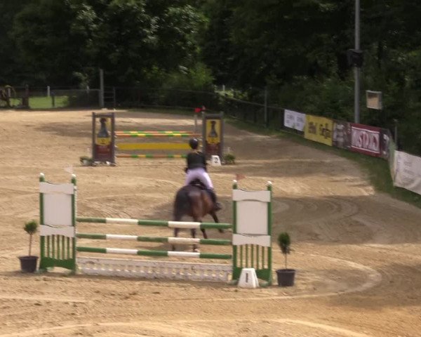 Reitturnier Reken 2022