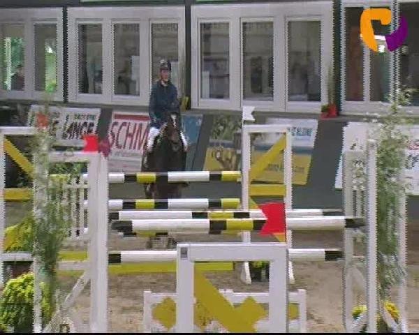 broodmare Calanda (Westphalian, 2005, from Calato)