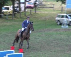 jumper Skipper 89 (Oldenburg show jumper, 2007, from Stakkato)