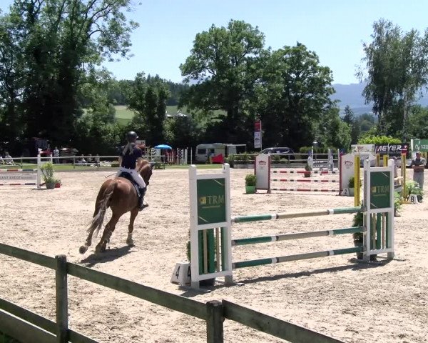 Reitturnier Ruswil 2022
