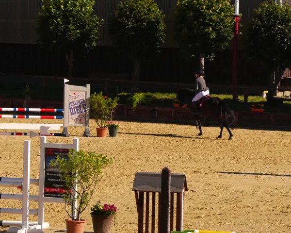 Reitturnier Schönfeld 2022