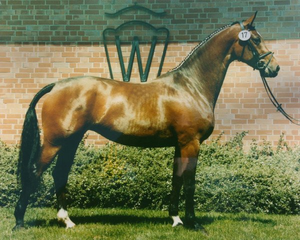 broodmare Ria Nova (Westphalian, 1995, from Rosenkavalier)