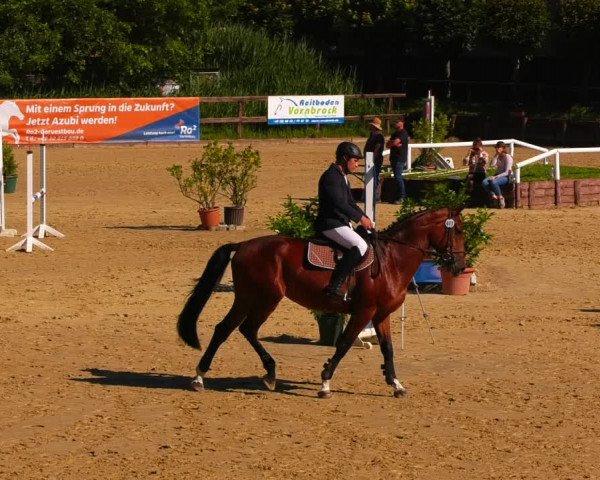 Reitturnier Schönfeld 2022