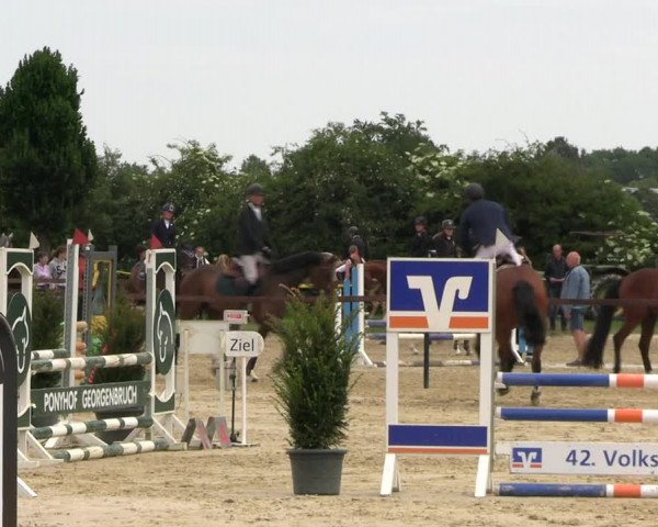 Reitturnier Everswinkel 2022
