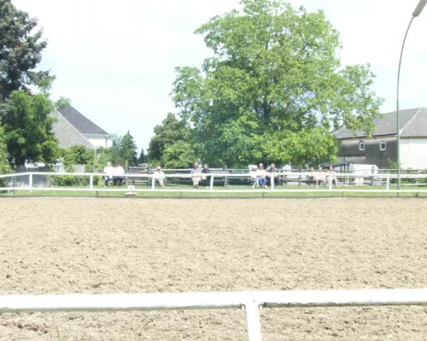 Reitturnier St. Pölten 2022