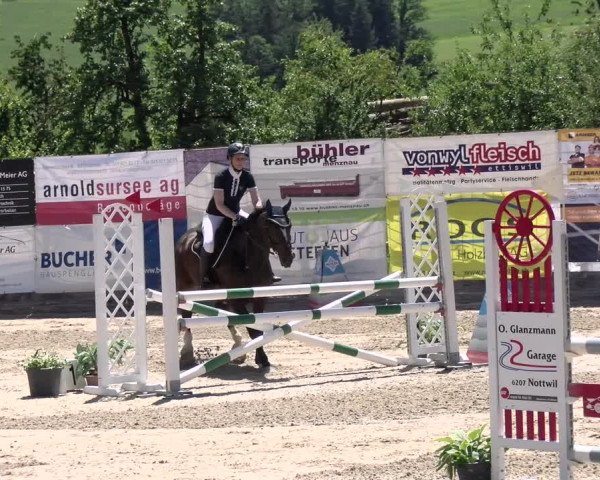 Reitturnier Ruswil 2022