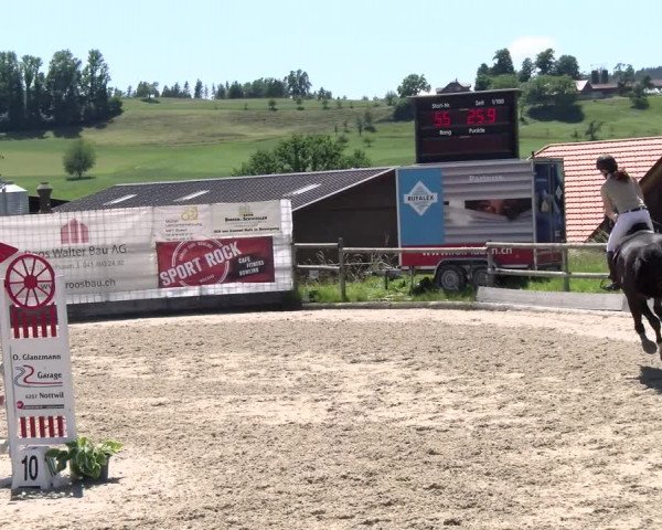 Reitturnier Ruswil 2022