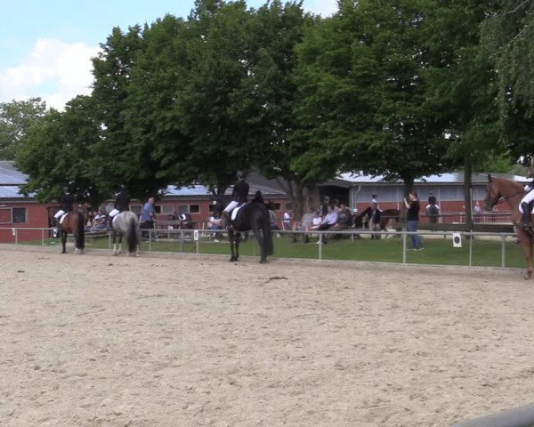 Reitturnier Ascheberg 2022