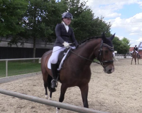 Reitturnier Ascheberg 2022