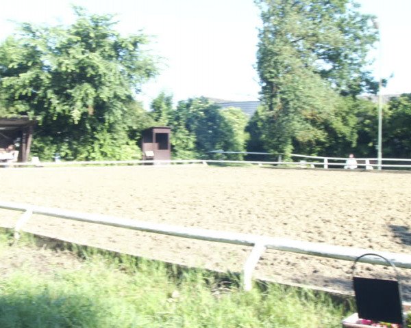 Reitturnier St. Pölten 2022