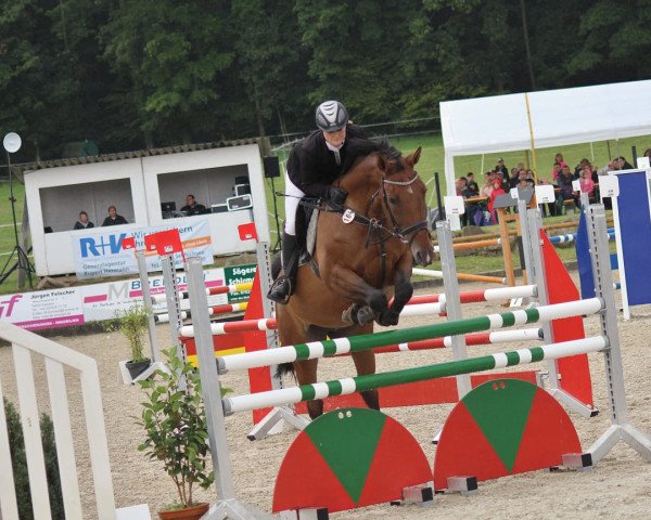 jumper Safira de la costa (Hanoverian, 2007, from Stolzenberg)