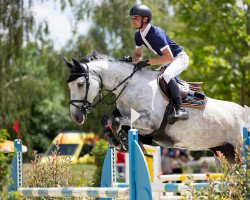 jumper Mayday Forever (Hanoverian, 2015, from Messenger)