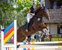 Springpferd Moulin Rouge 22 (KWPN (Niederländisches Warmblut), 2017, von Douglas)