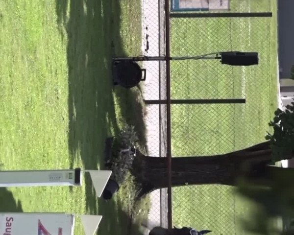 Reitturnier Weingarten (Baden) 2022