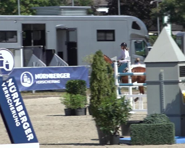 Rheinische Meisterschaften (Langenfeld) 2022