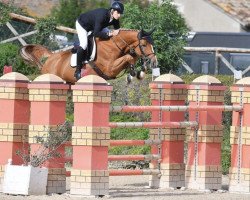 broodmare Aqaba de Leau (Luxembourg horse, 2011, from Arko III)