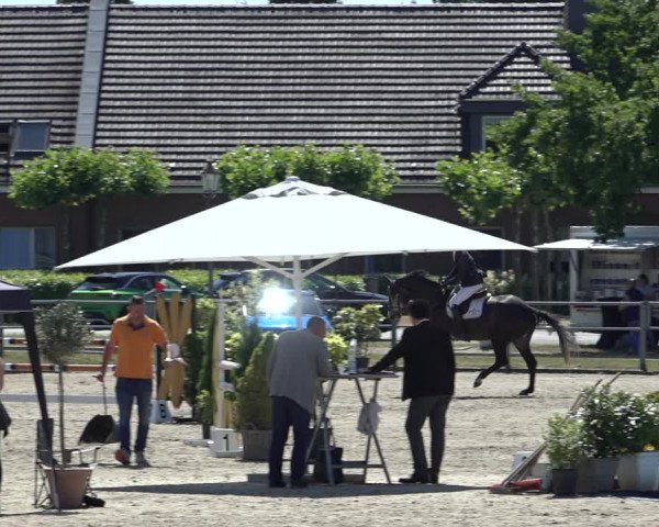 Rheinische Meisterschaften (Langenfeld) 2022