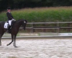 dressage horse Lemmük-Tagula (Westphalian, 2002, from Londonderry)