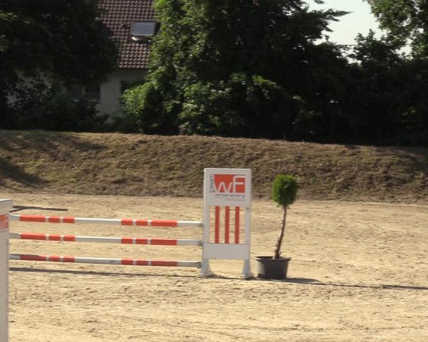 Reitturnier Fröndenberg 2022