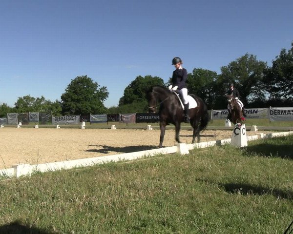 Reitturnier Münster, St. Georg | Amateurtag 2022