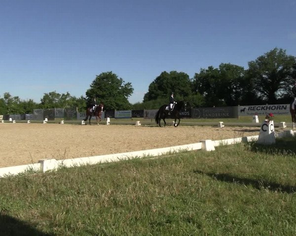 Reitturnier Münster, St. Georg | Amateurtag 2022