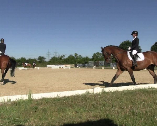 Reitturnier Münster, St. Georg | Amateurtag 2022