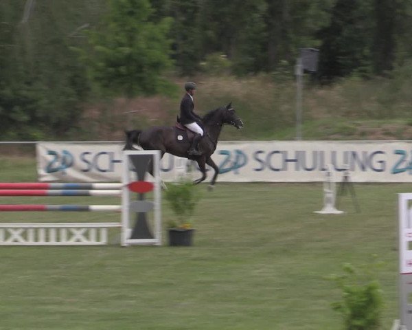 Reitturnier Reitstadion Löbnitz 2022