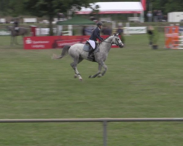 Reitturnier Reitstadion Löbnitz 2022