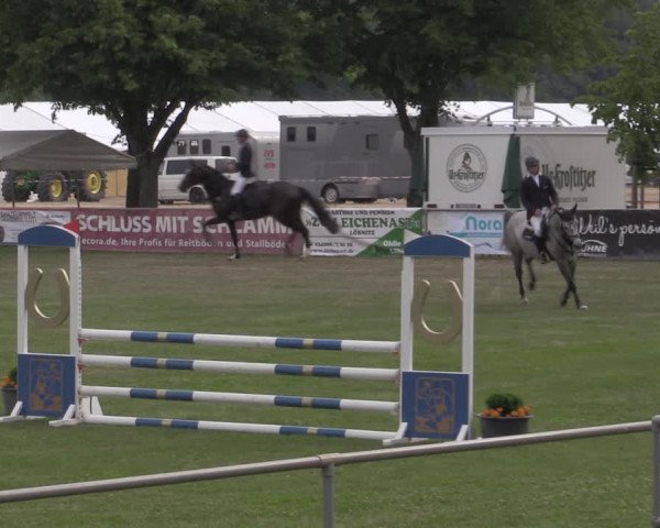 Reitturnier Reitstadion Löbnitz 2022