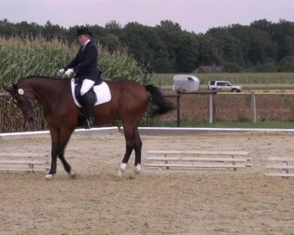 dressage horse Fire and Ice 11 (Westphalian, 1997, from Florestan I)